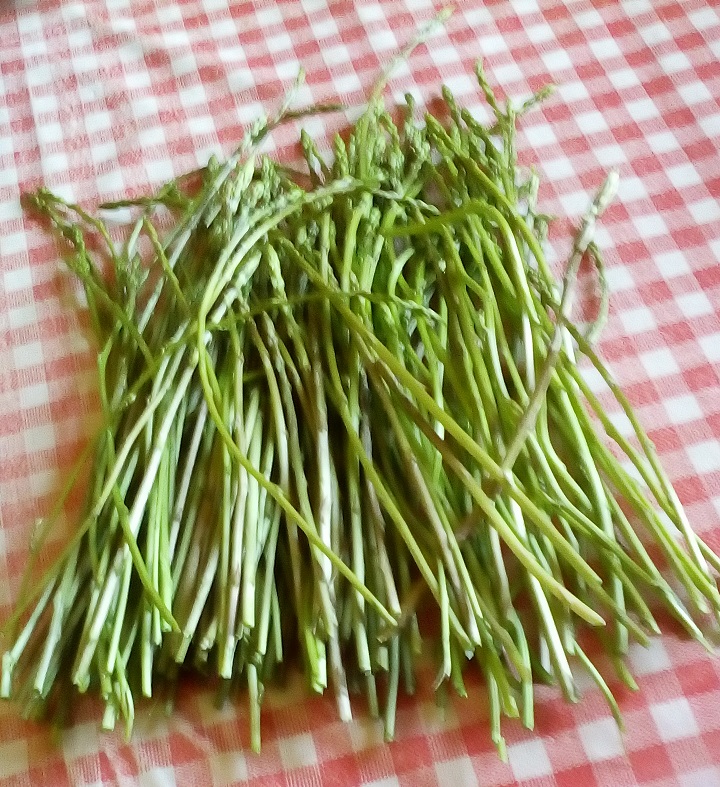 asperges